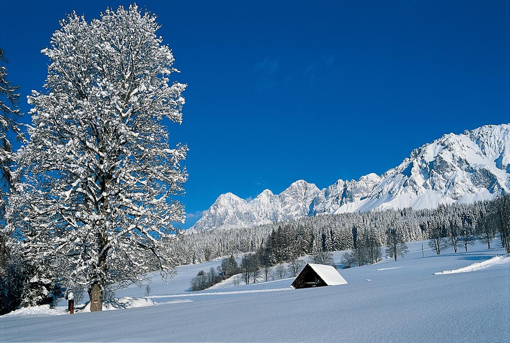 Bio-Holzhaus Und Landhaus Heimat Ramsau am Dachstein Exterior photo